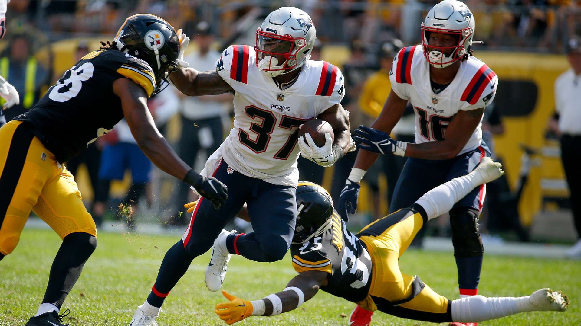 现了森林狼 现了森林狼